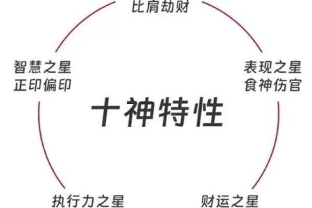 八字识命原理是什么意思