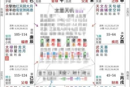 k366紫薇斗数