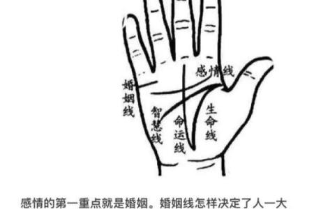 看手相算命大师免费下载