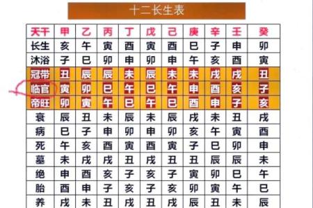 利用八字看子女运势如何