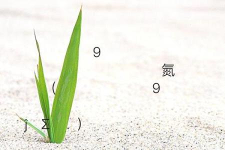 观音灵签第9签官司