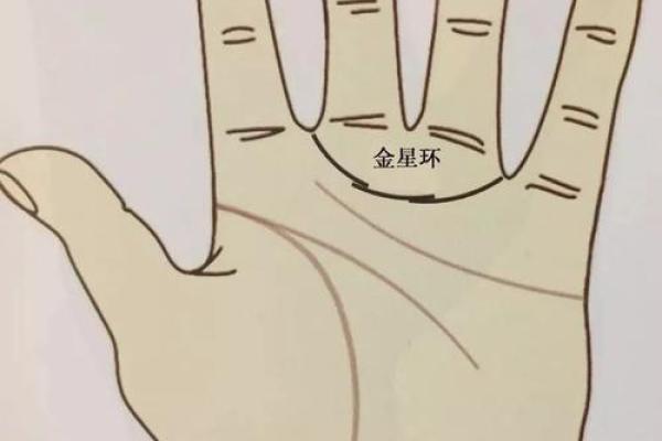 图解：手相金星环算命