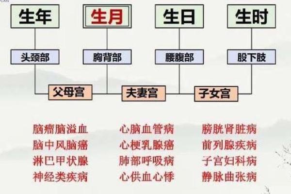 八字里有三子