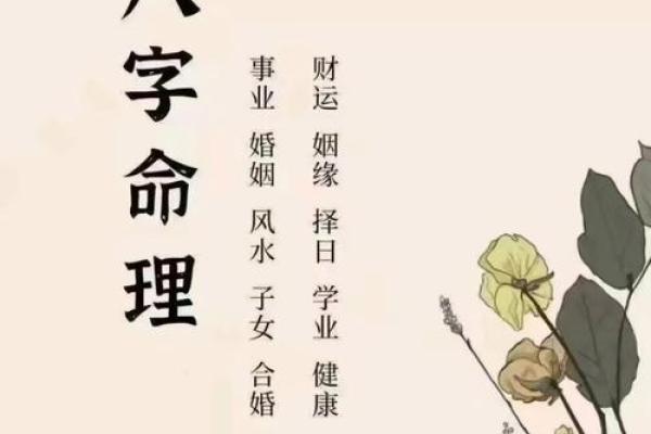 算命获得天命点