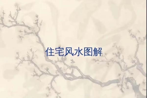 前山后河的房子风水