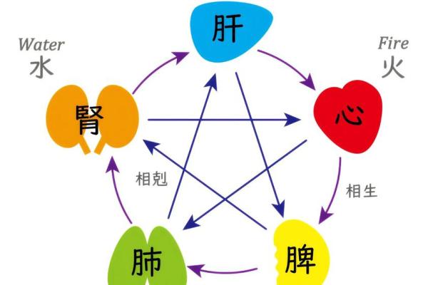 八字水多的人会怎样,八字无水的人很笨吗