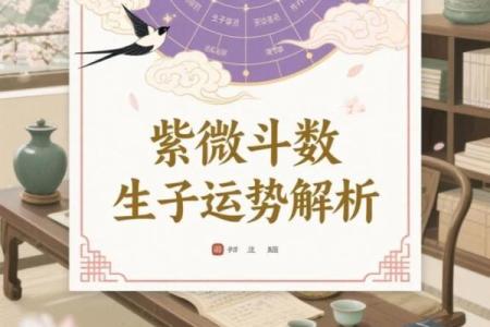 紫微财运曲线 紫微斗数测财运神巴巴？
