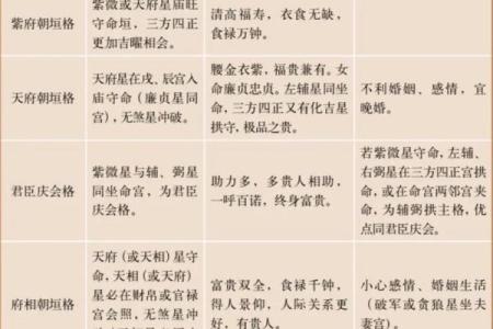 紫薇斗数能看出什么