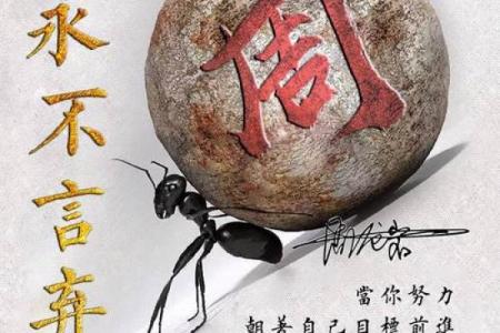 更新艺术签名 名字测试只供娱乐哦 命运是在自己的努力下的