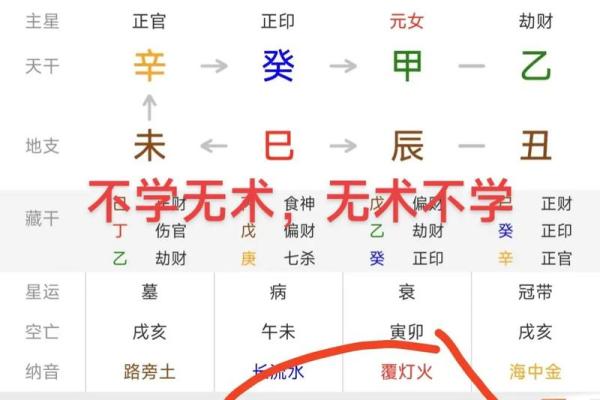 八字怎么排盘,查四柱八字的软件
