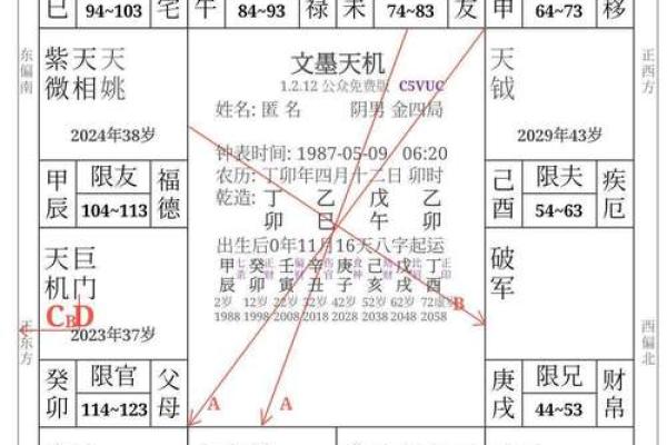 紫薇斗数中年龄