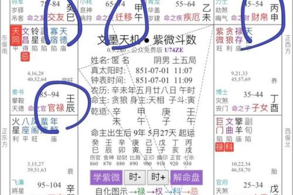 紫薇斗数怎么看命格