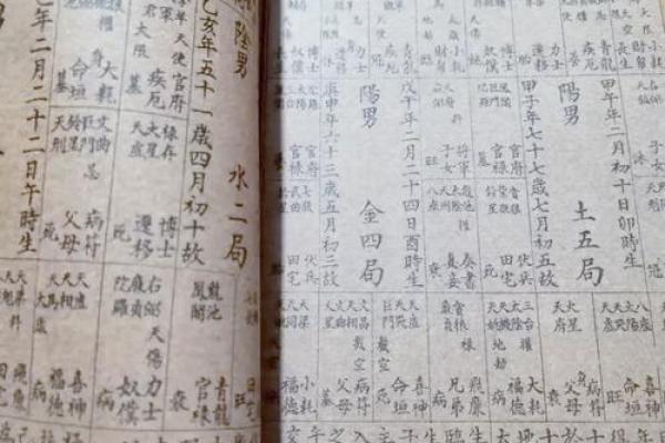 紫薇斗数照