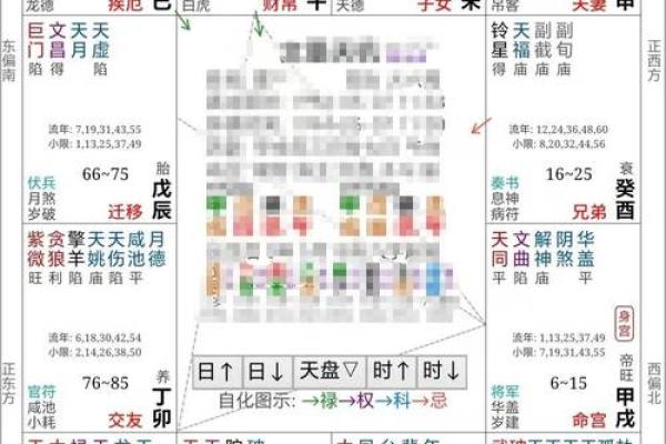紫薇斗数无命格