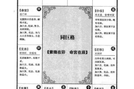 紫薇斗数怎么看命格