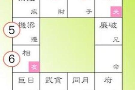 紫薇斗数无命格
