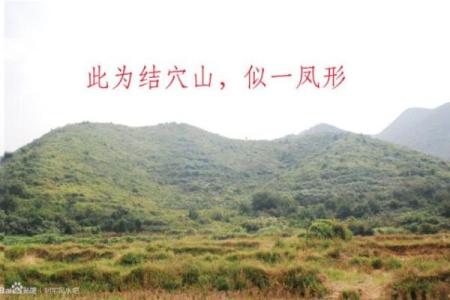 下山凤形风水如何在家中营造良好的风水环境
